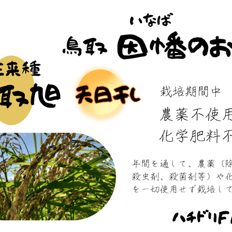 鳥取旭【天日干し】│令和7年産│農薬不使用│化学肥料不使用│玄米