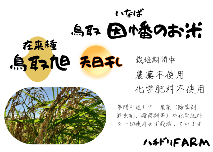 キヨニシキ　玄米１０ｋｇ　令和７年産　天日干し　化学肥料農薬不使用４/３籾すり ⭐︎令和7年産【農薬・化学肥料不使用】 稀少な天日干し&むしろ干しの