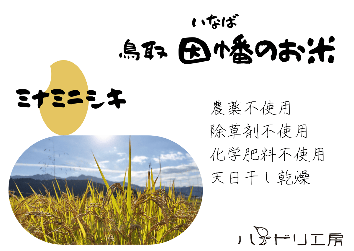 ミナミニシキ(うるち米)│令和6年産│農薬・除草剤・化学肥料 ミナミニシキ(うるち米)│令和6年産│農薬・除草剤・化学肥料