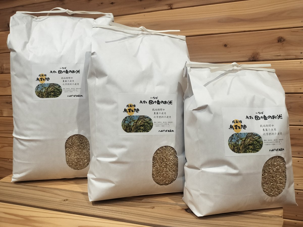 鳥取旭【天日干し】│令和7年産│農薬不使用│化学肥料不使用│玄米