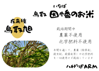 ミナミニシキ【天日干し】│令和7年産│農薬不使用│化学肥料不使用