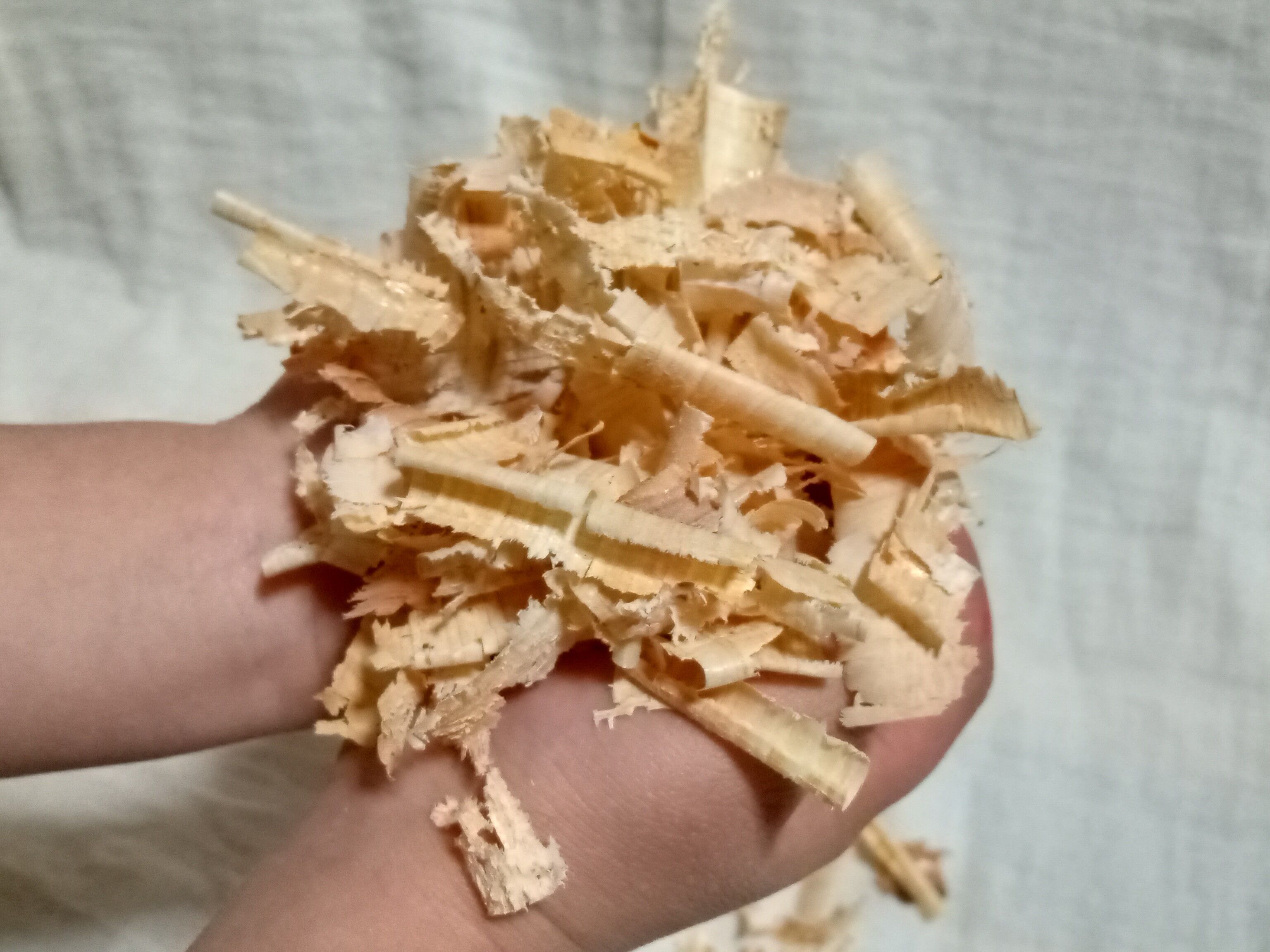 おがくず（2袋）│約70L│約4kg│杉│桧│天然乾燥【同梱包不可