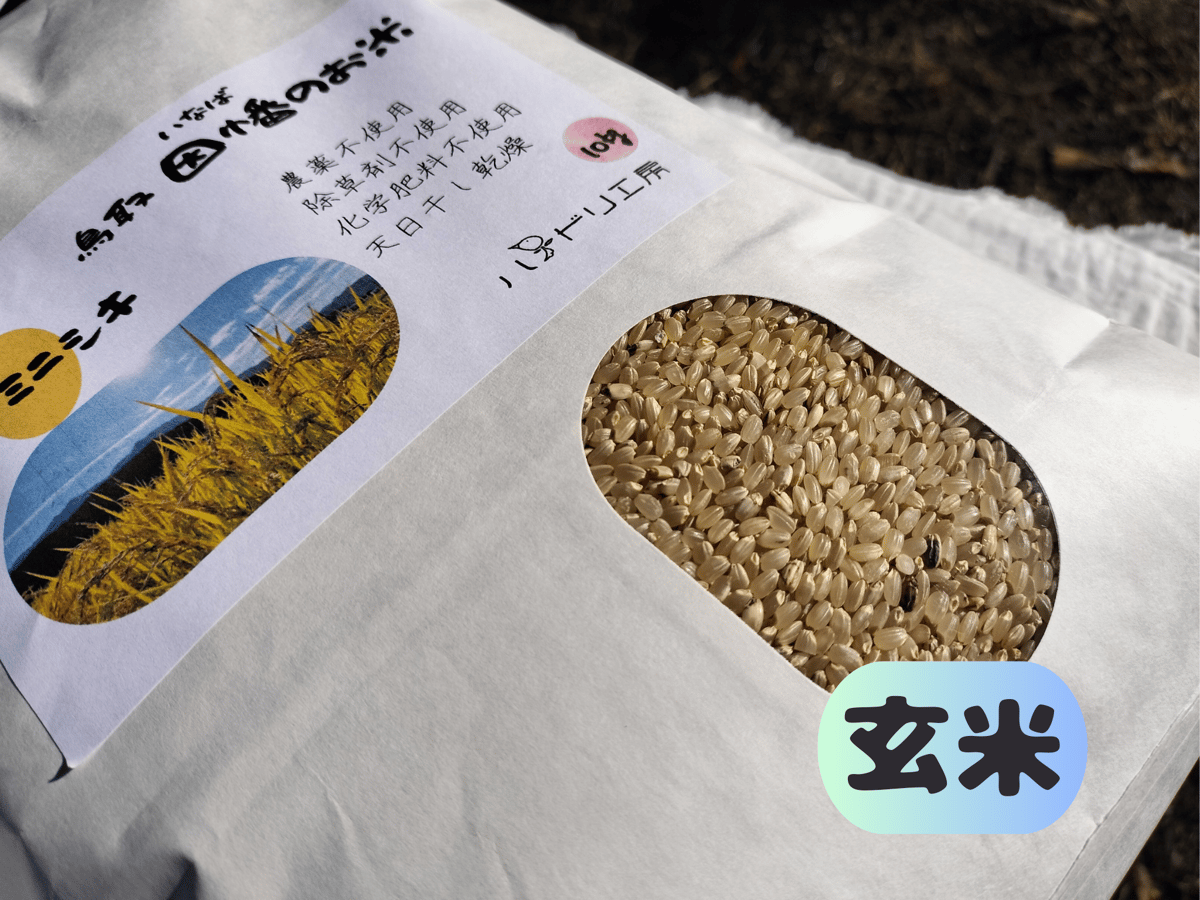 ミナミニシキ【天日干し】│令和7年産│農薬不使用│化学肥料不使用