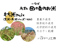 ハッピーヒル（もち米）【天日干し】│令和7年産│農薬不使用│化学