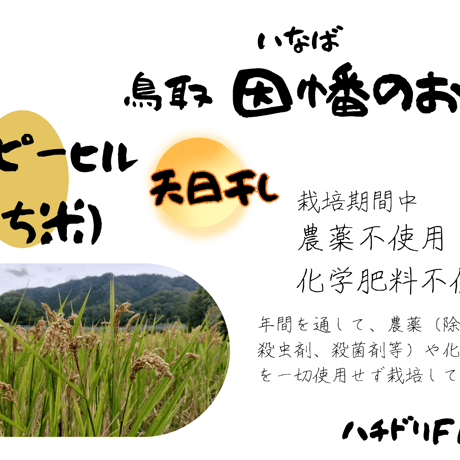 ハッピーヒル | STORES