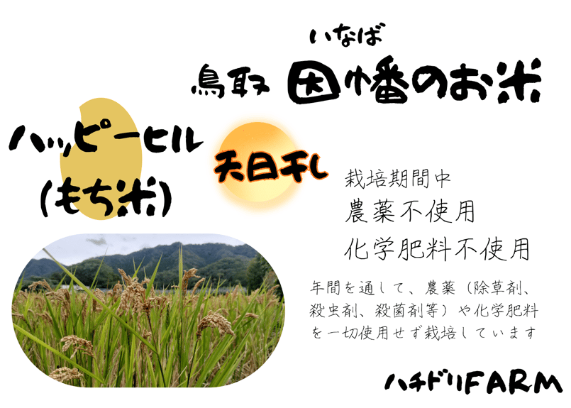 ハッピーヒル（もち米）【天日干し】│令和7年産│農薬不使用│化学