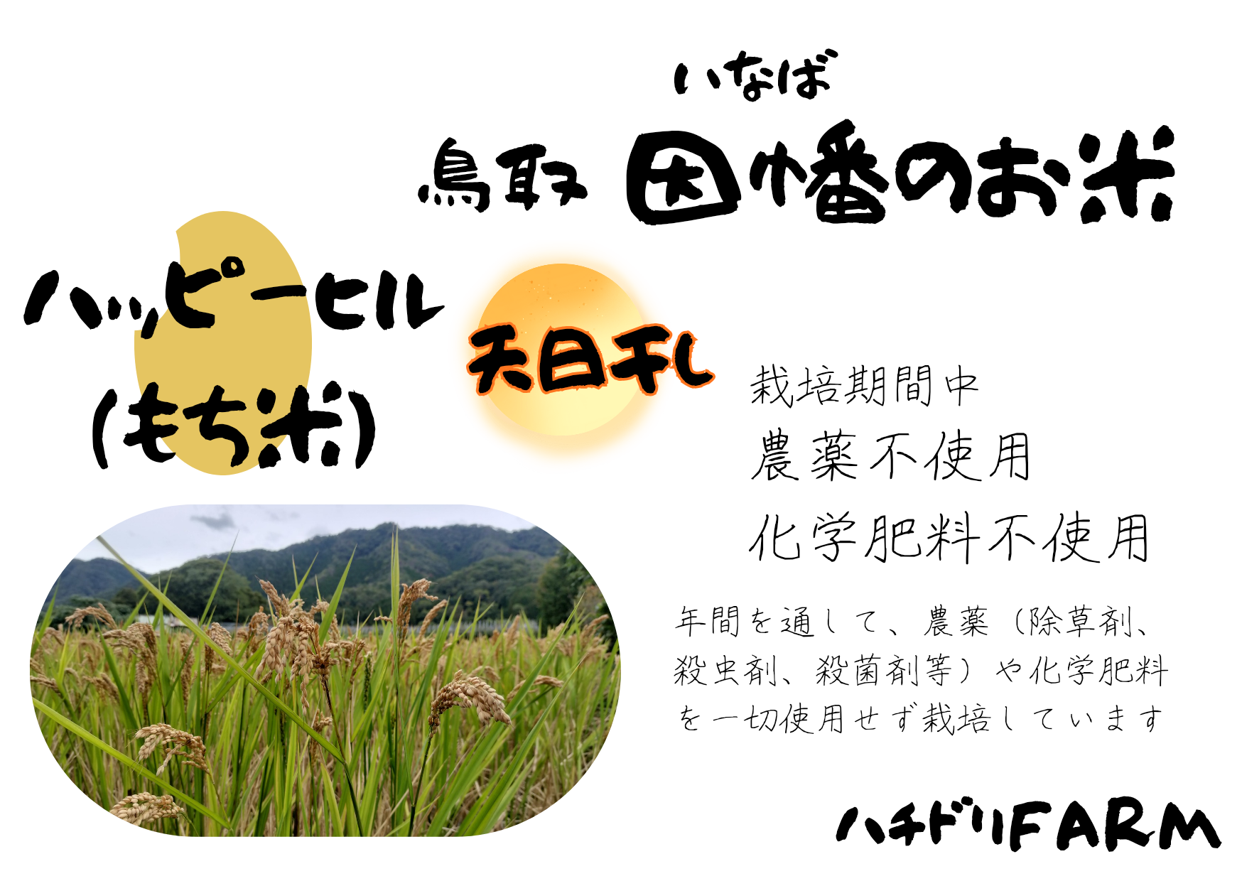 ハッピーヒル（もち米）【天日干し】│令和7年産│農薬不使用│化学