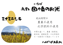 販売開始前 ミナミニシキ【天日干し】│令和8年産│農薬不使用│化学