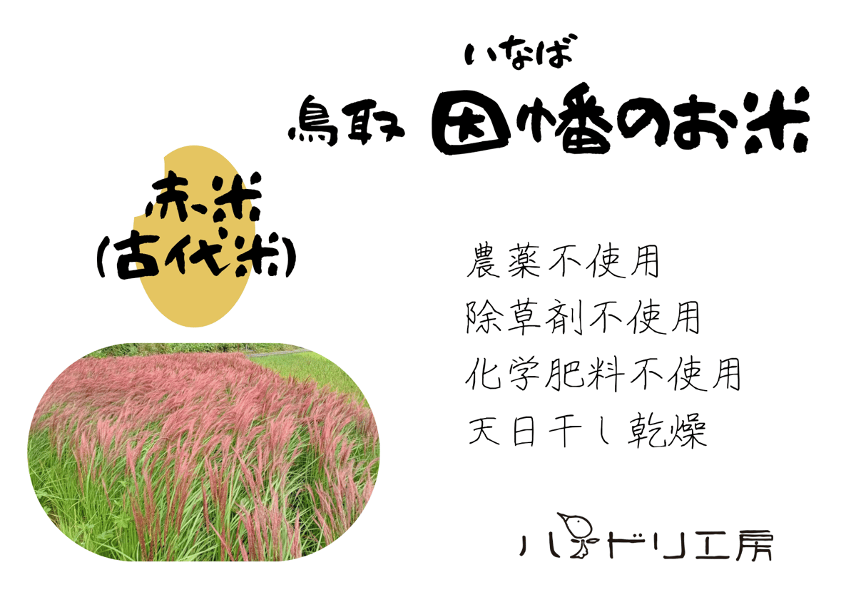 赤米（もち米）│令和6年産│古代米│農薬・除草剤・化学肥料不