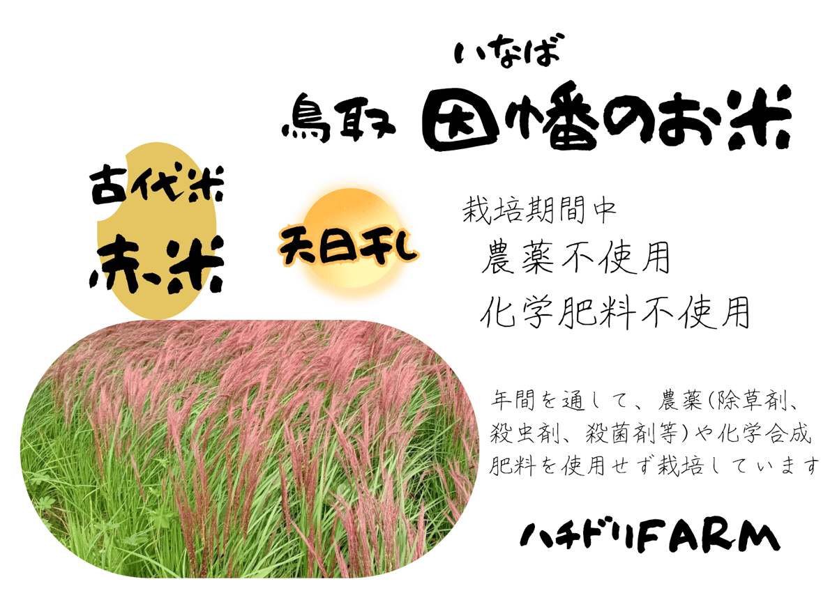 赤米（もち米）【天日干し】│令和7年産│古代米│農薬不使用│化学
