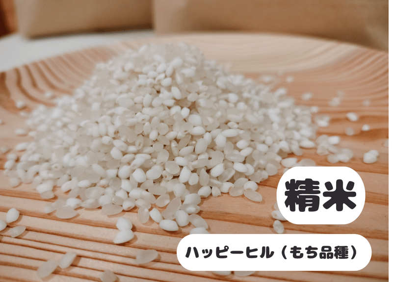 ハッピーヒル（もち米）【天日干し】│令和7年産│農薬不使用│化学