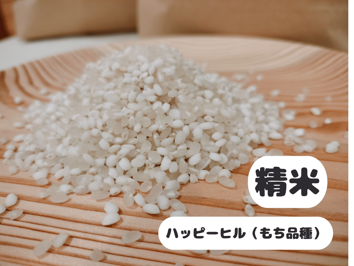 ハッピーヒル（もち米）【天日干し】│令和7年産│農薬不使用│化学