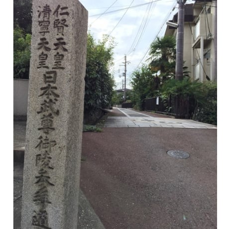 【世界遺産と国宝拝観】大阪・古市古墳群と神社巡り、最古の八幡宮で歴史と作法を学ぶ