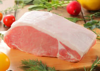 和豚もちぶた 焼肉用 ロース・バラ 約1.1kgセット