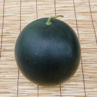 自然農法のタネ  黒小玉スイカ