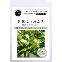 有機種子 ほうれん草/針種ほうれん草