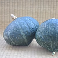 自然農法のタネ　 かぼちゃ　カンリ―2号