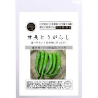 有機種子  甘長とうがらし