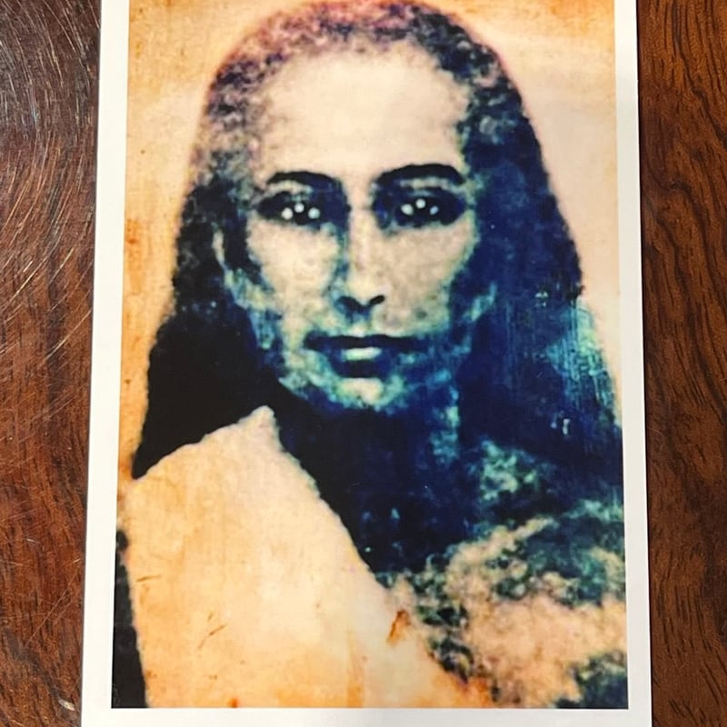 写真 マハヴァターババジ | BM Japan ショップ