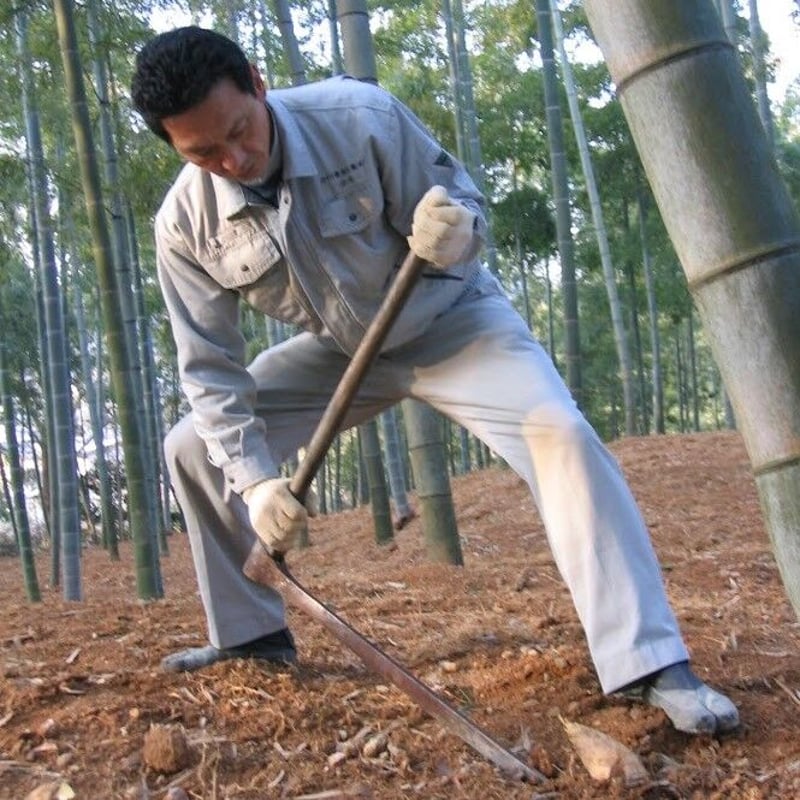 プレゼント：B【京たけの子 小川】京都たけのこ懐石 京笋（きょうたか