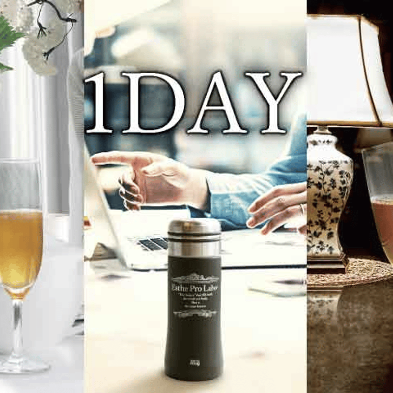 ファスティング1DAYセット（ハーブザイム1本、ファストプロミール3