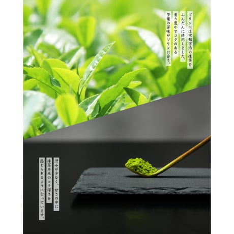 【期間限定】深み宇治抹茶くちどけ水ようかん　6個入 【冷蔵】