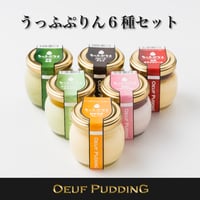 うっふぷりん6種セット6個入（カラメル1／プレーン1／抹茶1／チョコ1／いちごミルク1／ピスタチオ1）【冷蔵】