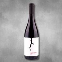 【再入荷】ポルトギーザー 2017［Modrý Portugal / Vino MAGULA］