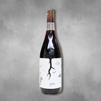 カルボニック 2021［Carboniq / Vino MAGULA］