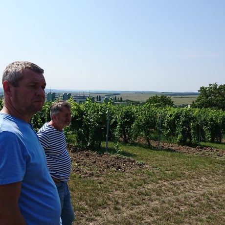 Pinot Noir BIO, Blanc 2013［ピノ・ノワール, ブラン 2013 / Domin & Kušický］