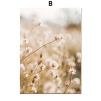 アートポスター 植物・花・たんぽぽシリーズ デザインNO-B