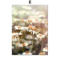 アートポスター 植物・花・たんぽぽシリーズ デザインNO-E