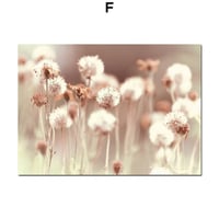 アートポスター 植物・花・たんぽぽシリーズ デザインNO-F