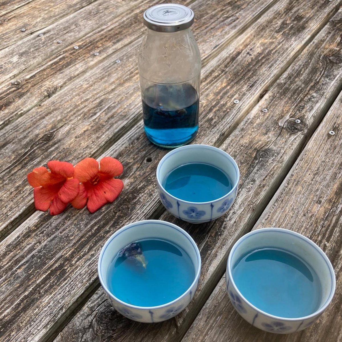 アンチャンティー バタフライピー 100g | Aoneys