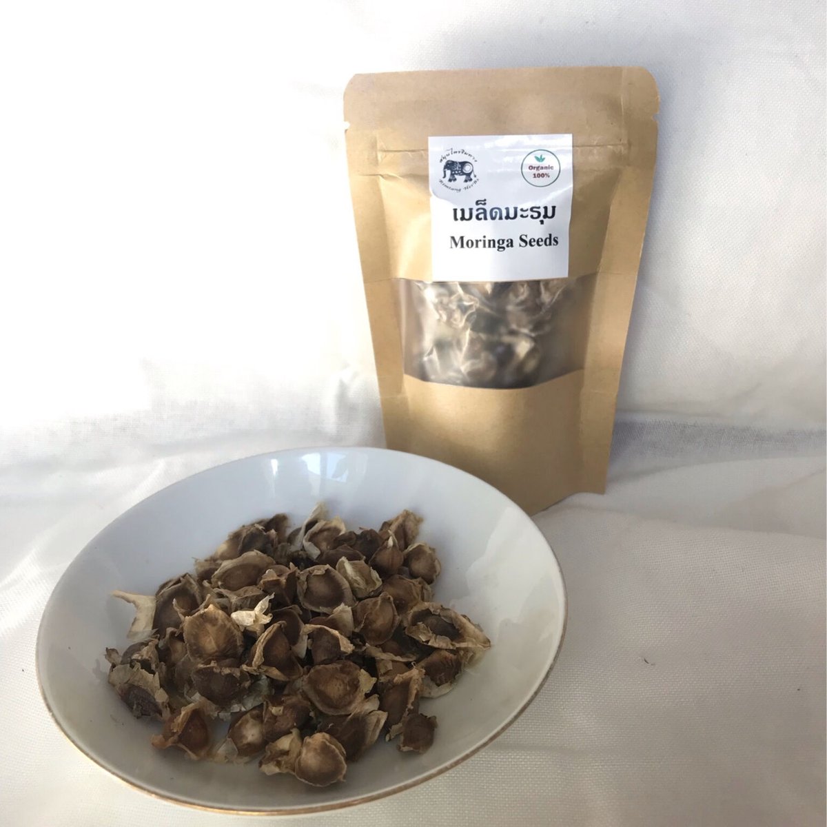 モリンガの種 10g ☆お試しサイズ☆ | Aoneys