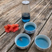 アンチャンティー　バタフライピー　10g　☆お試しサイズ☆