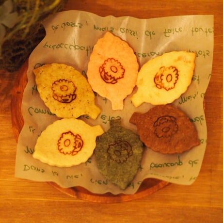 24色の発酵バタークッキー（ハルジオンセット）
