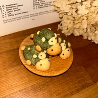 どうぶつクッキー(カメ)1枚