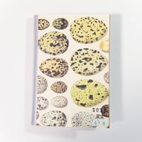 Good Various Texture Note  no.48