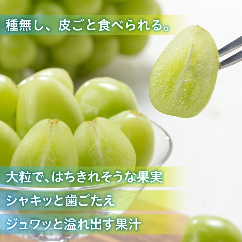 🔷贈答用【数量限定】 シャインマスカット 2房 【1房900g~1.2 🔷贈答用【数量限定】 シャインマスカット 2房 【1房900g~1.2