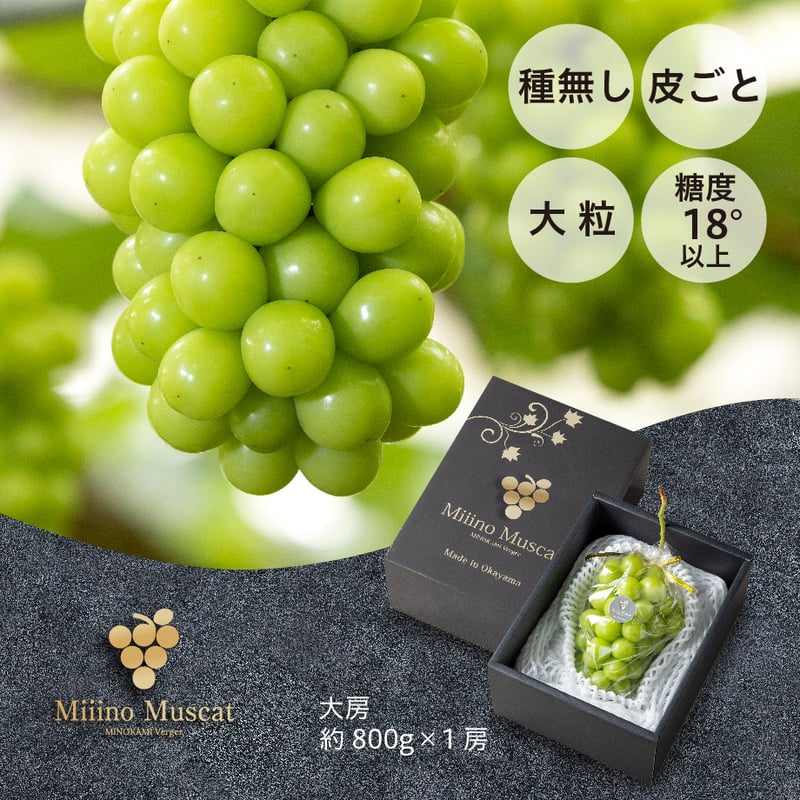 MiiinoMuscat 1房 【1房約800g以上】 | MINOKAMI Verger