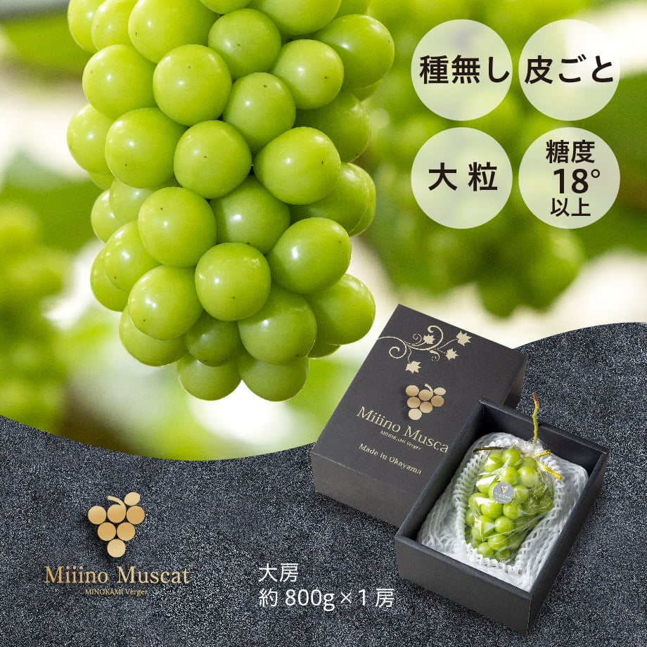 MiiinoMuscat 1房 【1房約800g以上】 | MINOKAMI Verger
