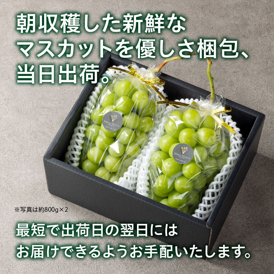 62bb276f1c6fdf65578861e9