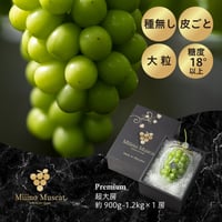 【数量限定】 MiiinoMuscatPremium　1房　【1房900ｇ～1.2㎏】