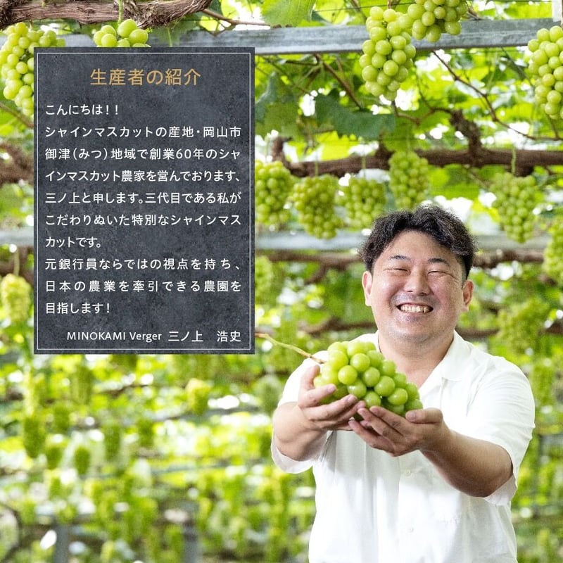 2024新作モデル ☆木村☆ブドウ大事典 ブドウ栽培 シャインマスカット 2024新作モデル ☆木村☆ブドウ大事典 ブドウ栽培 シャインマスカット