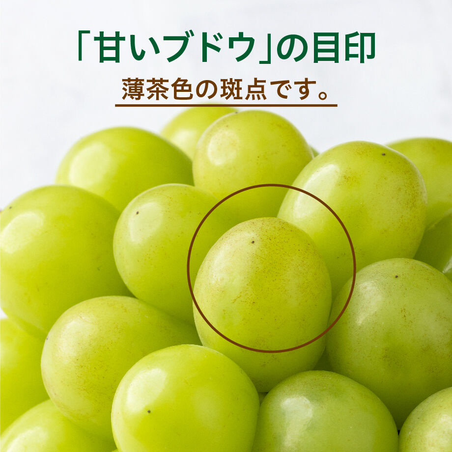 62bb276f1c6fdf65578861e9