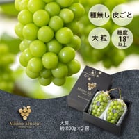 MiiinoMuscat　2房　【1房約800ｇ以上】