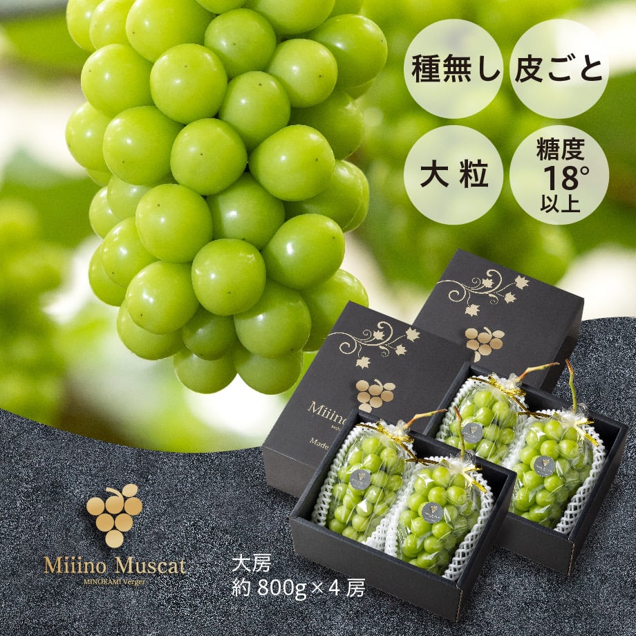 MiiinoMuscat 4房 【1房約800g以上】 | MINOKAMI Verger