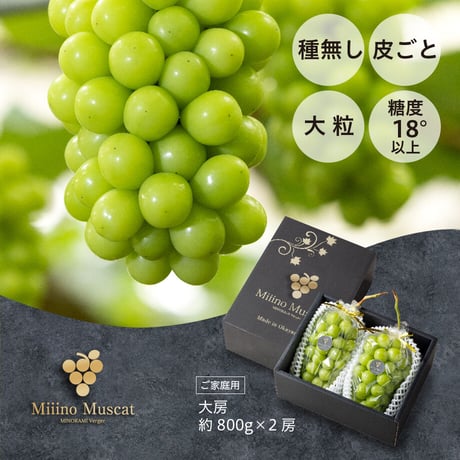 マスカットページ MINOKAMI Verger