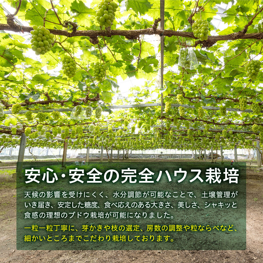 64e1b44ae37f74003845dde6